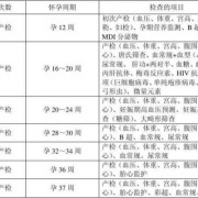 怀孕期检查（怀孕期检查项目）
