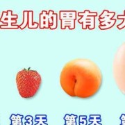 胎儿胃偏小（胎儿胃偏小怎么回事）