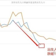人口萎缩的原因,胎儿萎缩是什么原因引起的