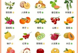 孕期每天吃多少水果,孕期每天吃多少水果适宜