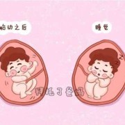 胎儿会睡觉（胎儿会睡觉不动吗）