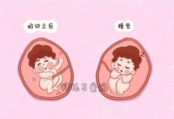 胎儿会睡觉（胎儿会睡觉不动吗）