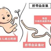 脐带血保留有什么用,胎儿脐带血有什么用呢