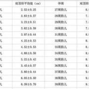 胎儿腿长女孩的几率大（胎儿腿长女孩的几率大）