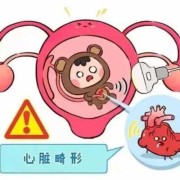 胎儿神经系统发育异常的表现（胎儿神经系统发育异常的表现）