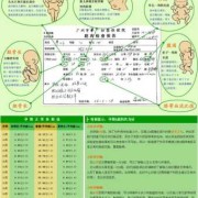 如何控制胎儿双顶径（双顶径和股骨长具体是什么意思）