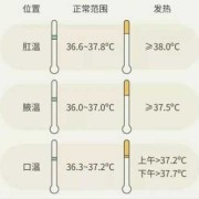 36度2属于正常体温吗,孕期体温36度正常吗为什么