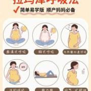 怀孕母猪呼吸频率多少正常,胎儿在体内怎么呼吸的