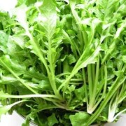 孕妇可以吃荠菜吗,孕期能吃荠菜吗,为什么感觉吃过肚子不舒服