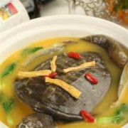 孕期可以喝甲鱼汤吗（孕期可以喝甲鱼汤吗?）