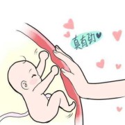 胎儿头胎动（头次胎动是什么感觉）