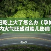 孕妇上火会影响胎儿吗（孕妇上火会影响胎儿吗怎么办）