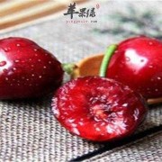 孕期能吃车厘子吗（车厘子四种人不能吃）