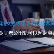 孕期出轨法律如何解决,孕期出轨多吗