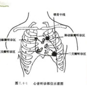 听胎儿心音（听胎儿心音的位置）