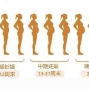 世界上最大的孕肚有多大,孕期肚子增长标准表图