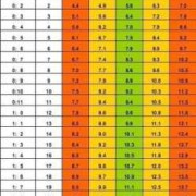 7个月的宝宝多少斤，孩子7个月了，体重才12斤，正常吗,7个月的胎儿体重一般是多少