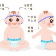 婴儿头围前后径和左右径怎么量,怎样摸胎儿头部位置图片