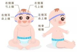 婴儿头围前后径和左右径怎么量,怎样摸胎儿头部位置图片