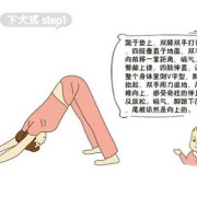 孕期下犬式（孕期下犬式的好处）