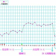 早孕期体温多少正常（初期怀孕体温是37,4正常吗）