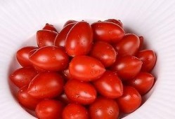 孕期吃小番茄好吗（孕期吃小番茄好吗有营养吗）