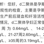 23周胎儿指标（d2聚体2.23算高吗）