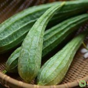孕期能吃丝瓜吗（孕期能吃丝瓜吗初期）