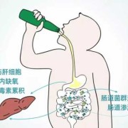庆祝生孩子喝酒词,准爸爸喝酒影响胎儿吗知乎