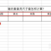 怎么计算胎儿体重计算器（怎样用尺寸计算猪的重量）