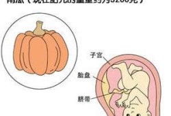 怀孕三十九天胎儿图（怀孕三十九天胎儿图片）