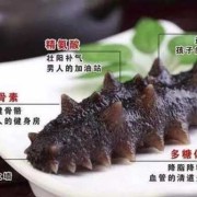 海参对胎儿有哪些好处（怀孕吃海参到底好不好）