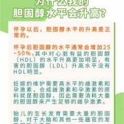孕妇胆固醇高怎么办,孕期胆固醇偏高怎么办啊