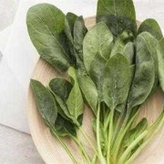 孕妇吃波菜对胎儿好吗（孕妇吃波菜对胎儿好吗有营养吗）