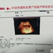 11周+孕期检查NT值3.4，是不是说明胎儿不正常,胎儿十一周的样子图片
