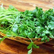 孕期可以吃香菜吗（孕期可以吃香菜吗早期）