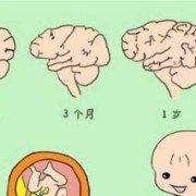 怎么判断胎儿是否缺氧（婴儿大脑缺氧的症状有什么）