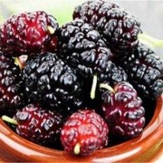 孕期可以吃桑葚吗（孕期可以吃桑葚吗?）
