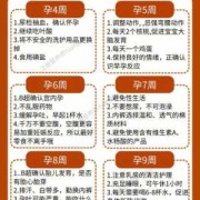 怀孕期间能做什么工作（怀孕期间能做什么工作比较适合）