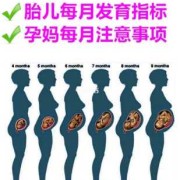 两个月的宝宝的腹围的标准值是多少啊,两个多月的胎儿有多大图片