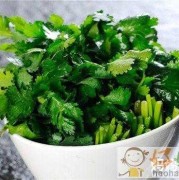 孕期可以吃香菜（孕期可以吃香菜不）