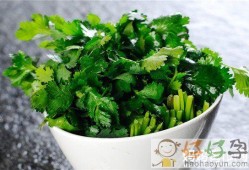 孕期可以吃香菜（孕期可以吃香菜不）