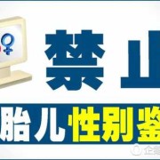 胎儿鉴别.（胎儿鉴别违法吗）