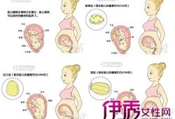 如何知道胎儿是否入盆（如何知道胎儿是否入盆了）