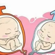 孕期困是男孩女孩（孕妇困是男孩还是女孩）