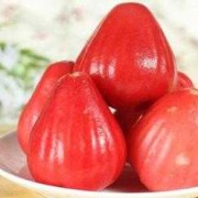 孕期能吃莲雾吗（孕期能吃莲雾吗?）