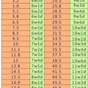 怀孕期多少天（怀孕一共多少周多少天）