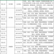 孕期各项检查（孕期各项检查时间图表）
