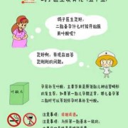 备孕期间吃叶酸（备孕期间吃叶酸）