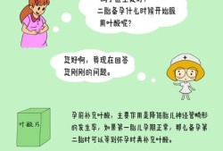 备孕期间吃叶酸（备孕期间吃叶酸）